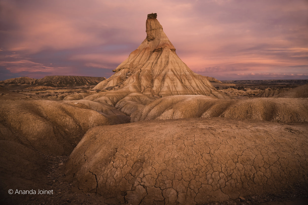 Sony FE 20-70mm F4 G - Garanzia Sony Italia - Cavone Lux Pro