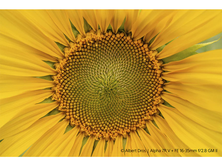 Sony FE 16-35MM F2.8 GM II - Garanzia Sony Italia - Cavone Lux Pro