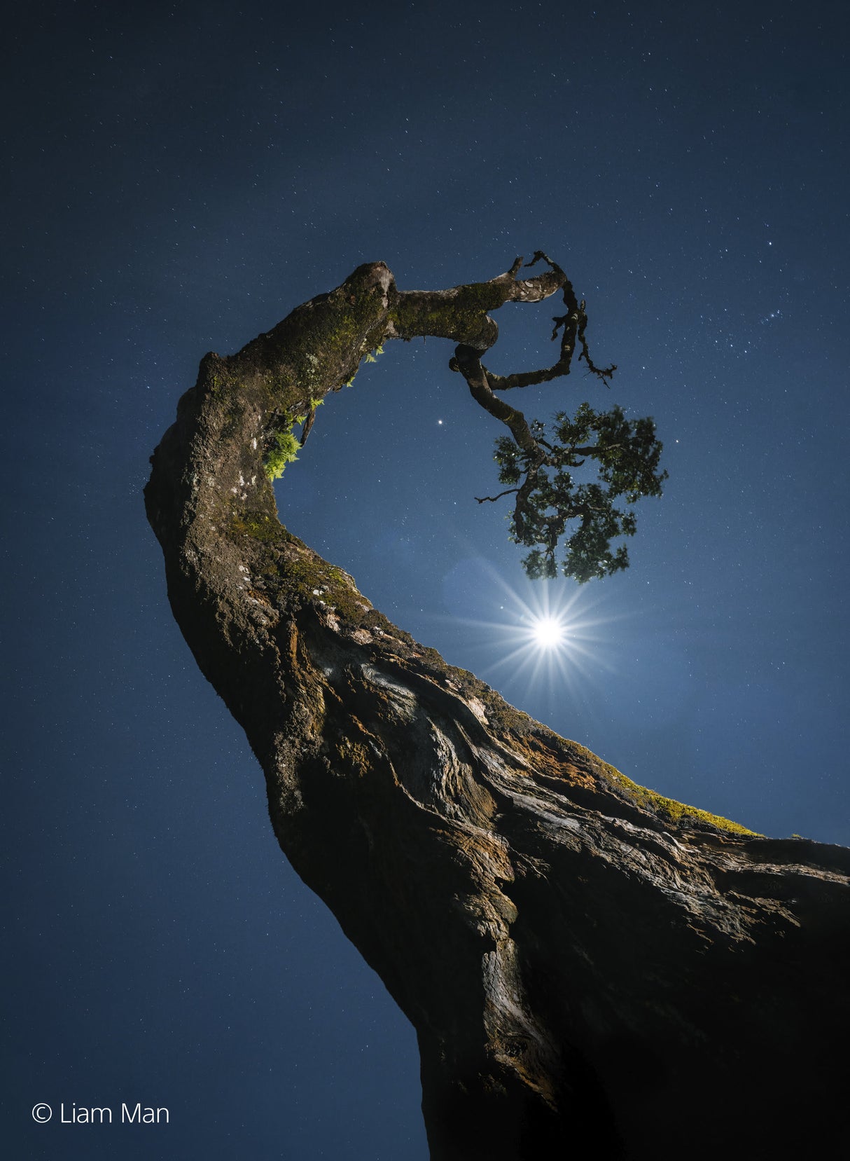 Sony FE 20-70mm F4 G - Garanzia Sony Italia - Cavone Lux Pro