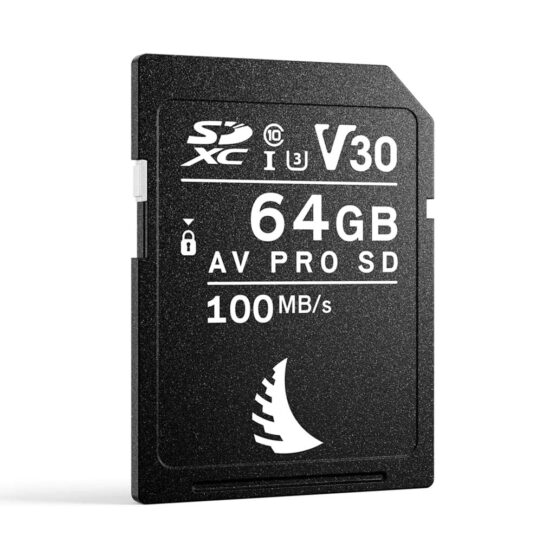 ANGELBIRD AV PRO SD V30 64GB - Cavone Lux Pro