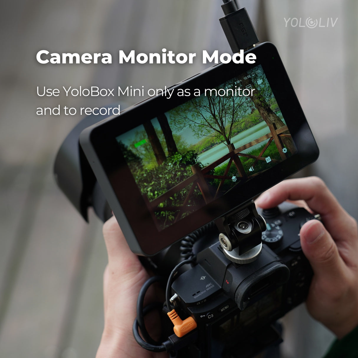 Yololiv Yolobox Mini - Cavone Lux Pro