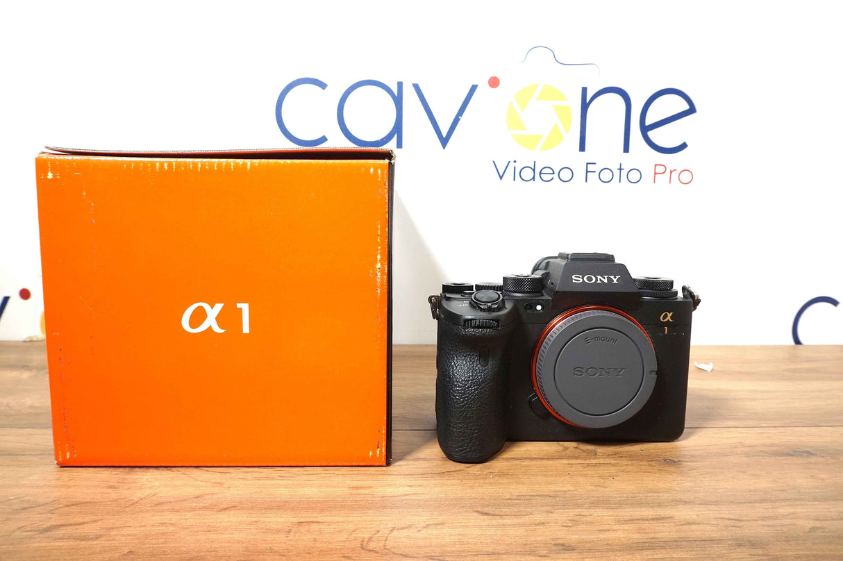 Sony Alpha 1 (1532 scatti)