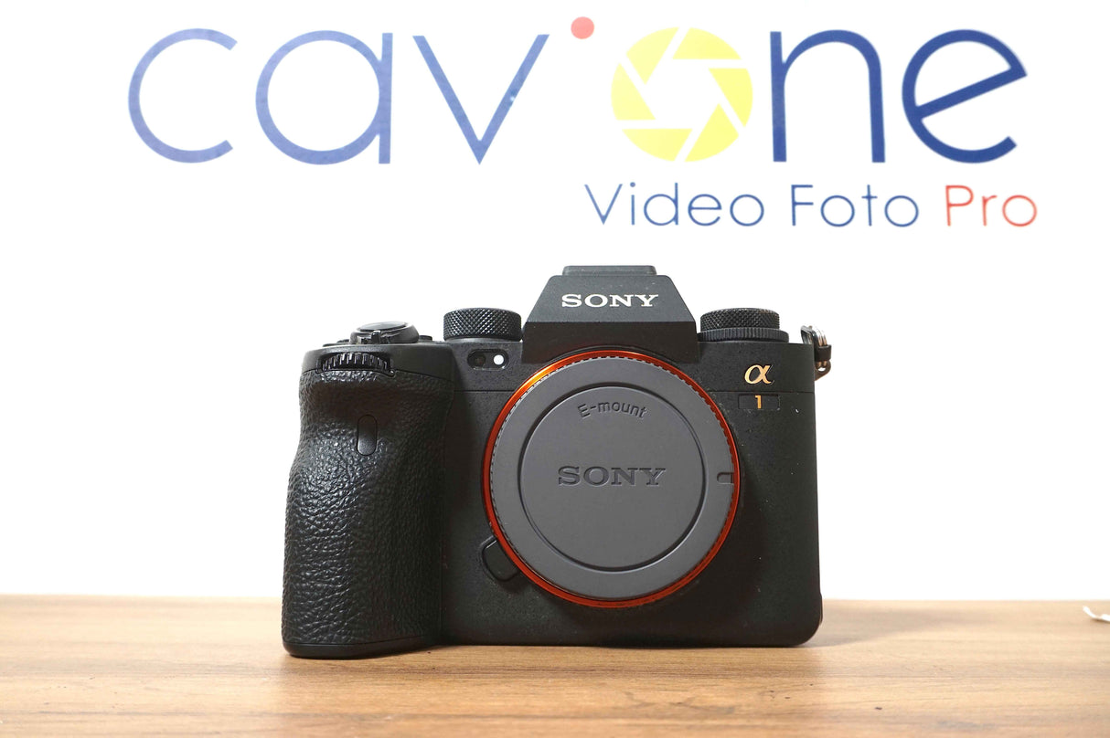 Sony Alpha 1 (1532 scatti)