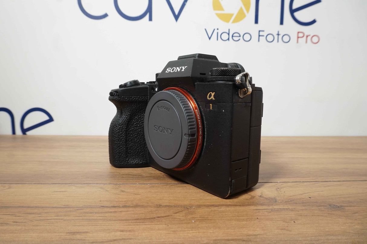 Sony Alpha 1 (1532 scatti)