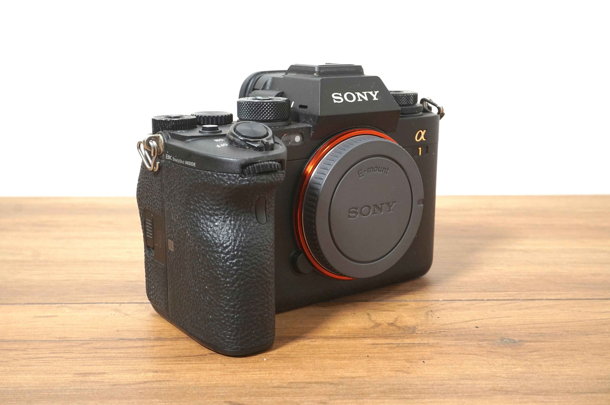 Sony Alpha 1 (1532 scatti)