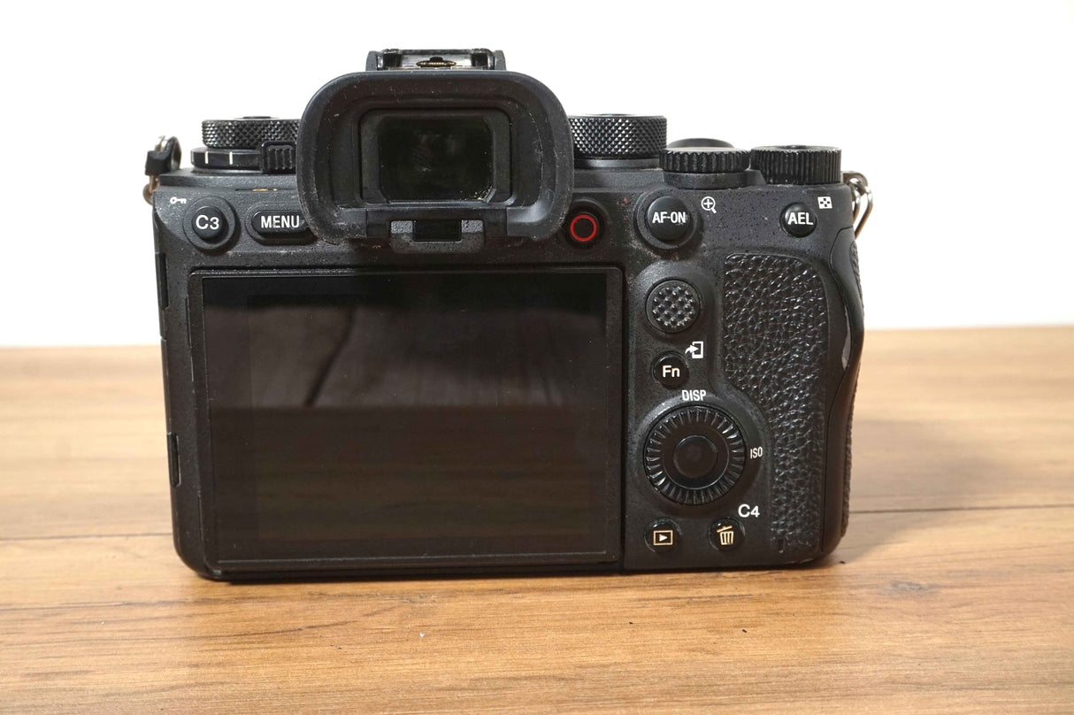 Sony Alpha 1 (1532 scatti)