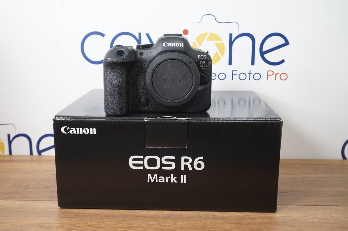 CANON R6 MARK 2 (usata)