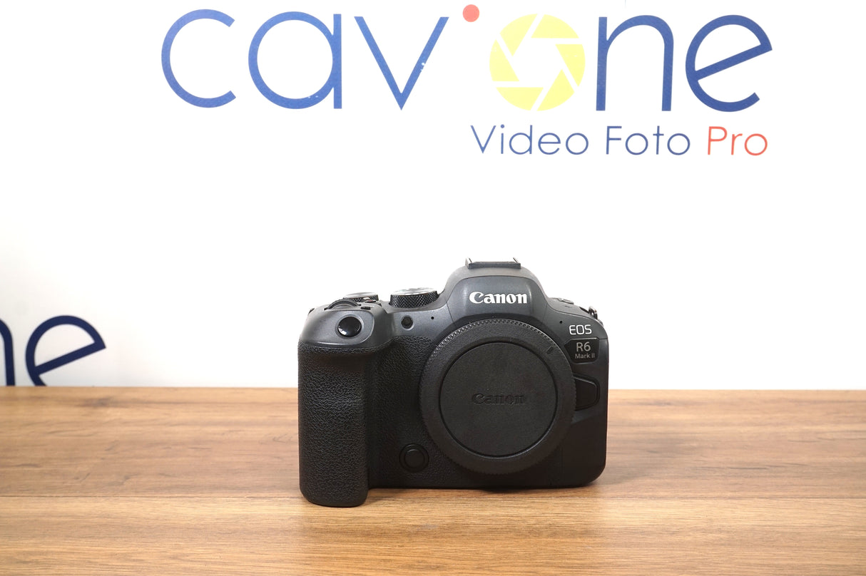 Canon Eos R6 Mark II ( 147000 scatti)