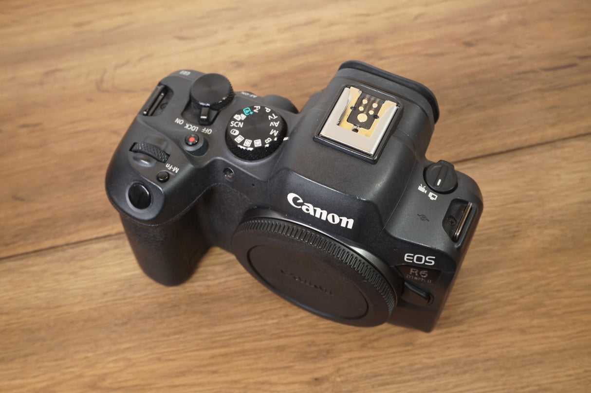 Canon Eos R6 Mark II ( 147000 scatti)