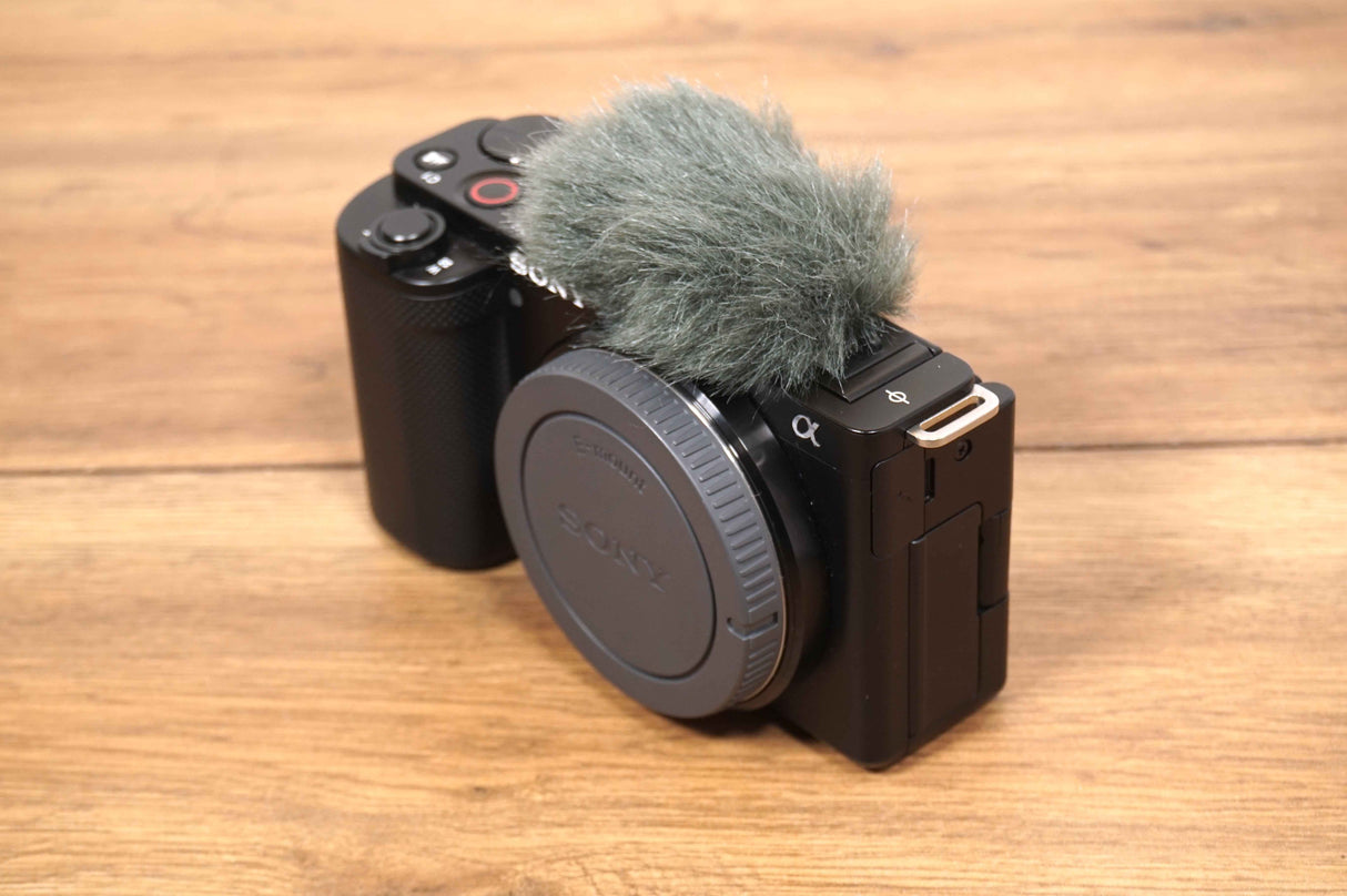 Sony ZV-E10 (460 scatti)