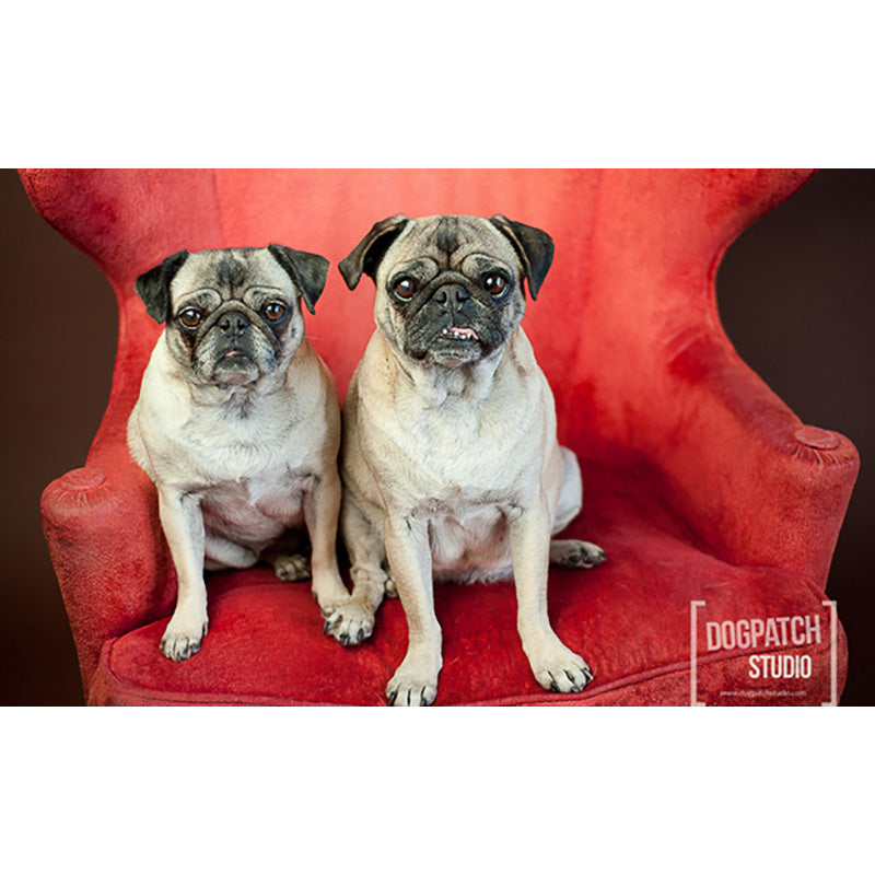 FONDALE CARTA BD HICKORY 2,72x11m art. 07120 - Cavone Lux Pro