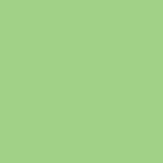 FONDALE CARTA BD SPRING GREEN 2,72x11m art. 07174 - Cavone Lux Pro