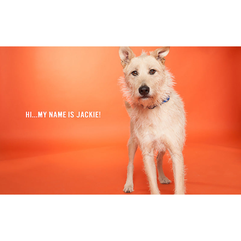 FONDALE CARTA BD TANGERINE 2,72x11m art. 07152 - Cavone Lux Pro