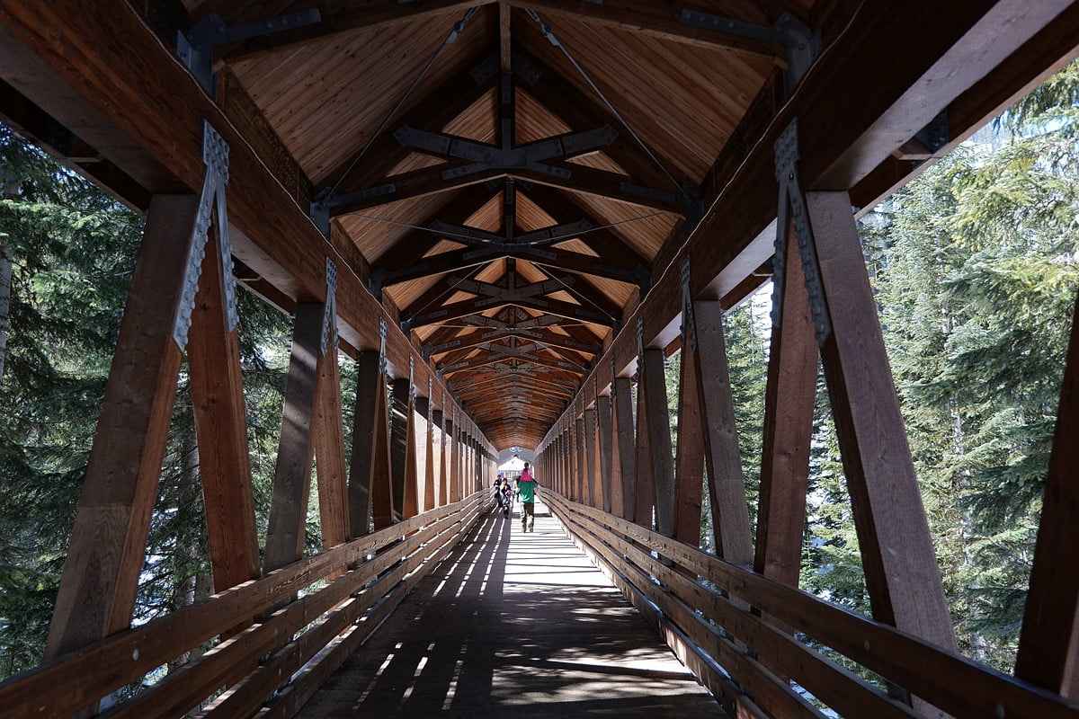 Panasonic Lumix S1 Body