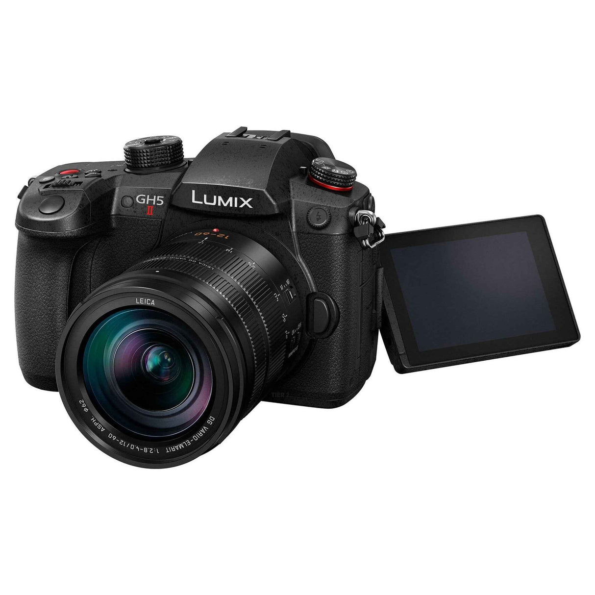 Panasonic Lumix GH5 M2 + Leica DG Vario-Elmarit 12-60mm f/2.8-4 Power O.I.S.