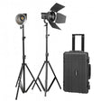 Nanlite Forza 60 Kit 2 pz con Trolley, Riflettore e Lente Fresnel (5600 k) USATO - Cavone Lux Pro