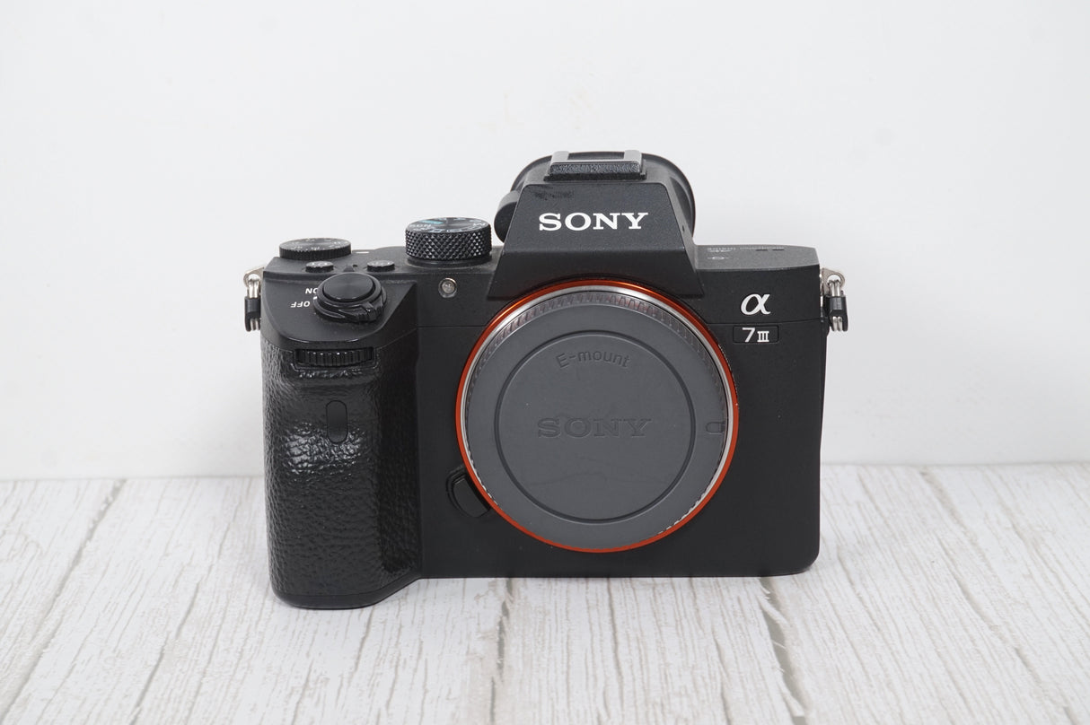 Sony A7 III (3226 scatti)