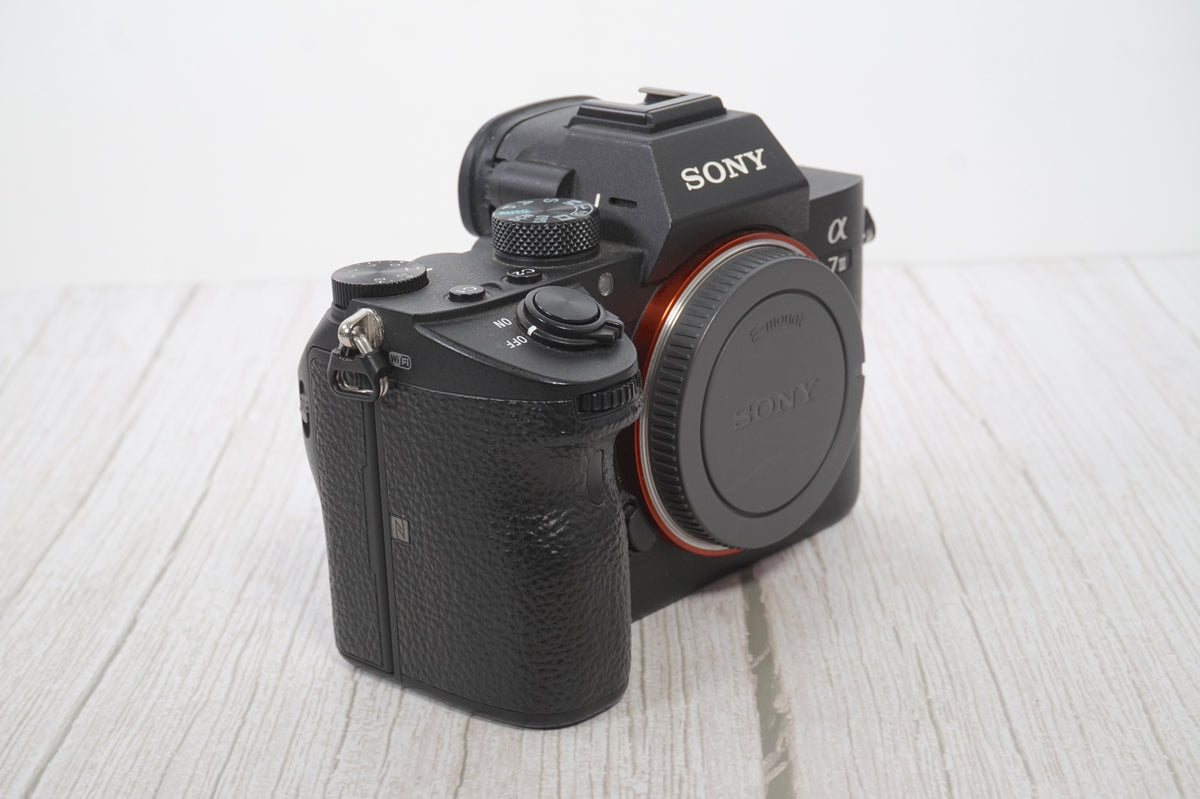 Sony A7 III (3226 scatti)