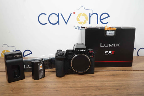 Panasonic Lumix S5 MK II (405 scatti)