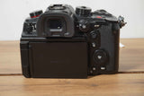 PANASONIC GH6 (6749 scatti)