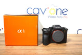 Sony Alpha 1 (1532 scatti)