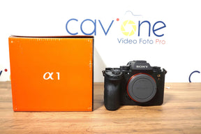 Sony Alpha 1 (1532 scatti)