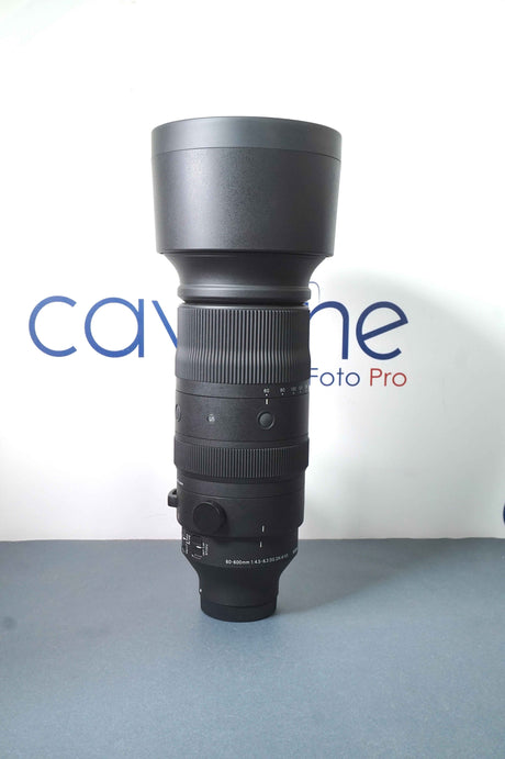 Sigma 60-600mm f/4.5-6.3 DG DN OS Sport (SONY E MOUNT) DEMO