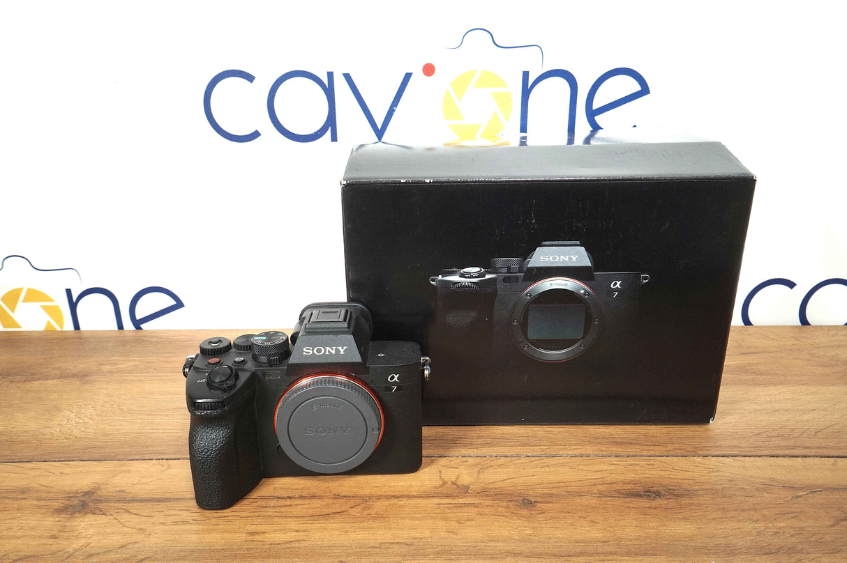 Sony A7 IV (12790 scatti)