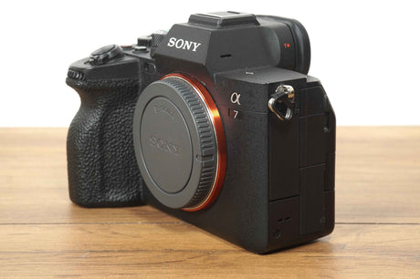 Sony A7 IV (12790 scatti)