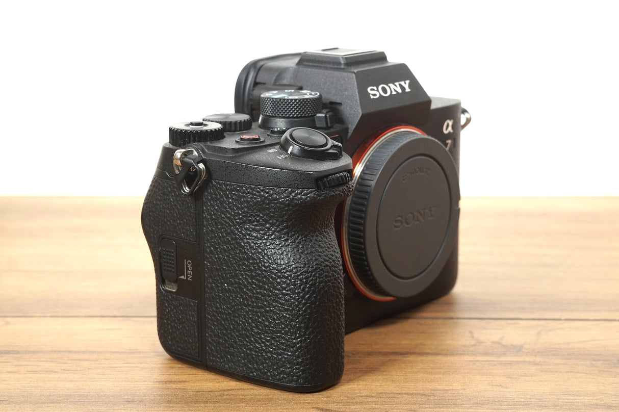 Sony A7 IV (12790 scatti)