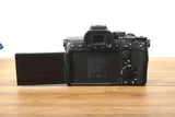 Sony A7 IV (12790 scatti)