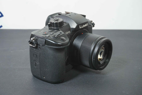 Panasonic GH5+ 25mm f1.7 (usata) 4224 scatti