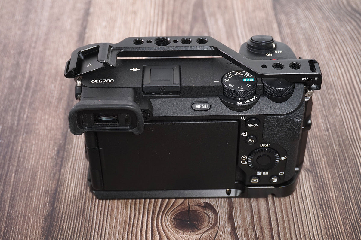 SONY A6700 + CAGE smallrig (450 scatti)