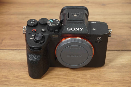 Sony A 7 IV (164000 scatti)