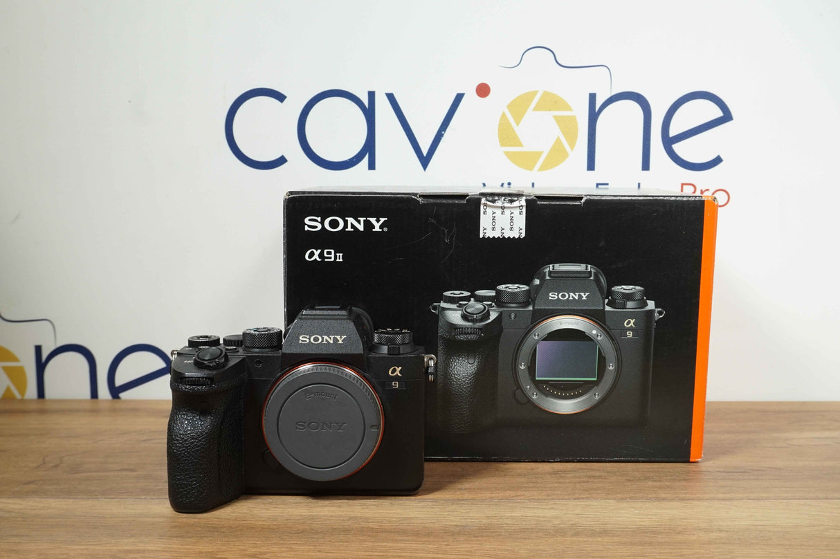 Sony A9 II (32 SCATTI)