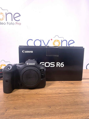 Canon EOS R6 (74900 scatti)Usata