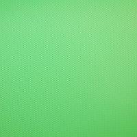 Savage fondale di vinile 2.75x6.09m Chroma Green