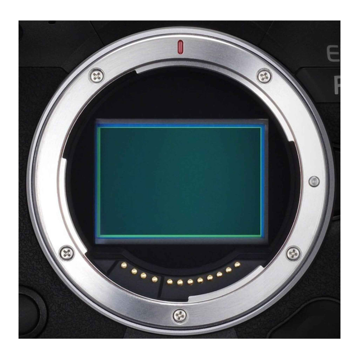 Canon EOS R5 Body - Garanzia Canon Italia