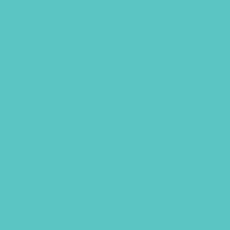 FONDALE CARTA BD AQUA 2,72x11m art. 07165 - Cavone Lux Pro
