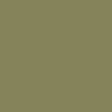 FONDALE IN CARTA BD CACTUS 2,72x11m ART 07144 - Cavone Lux Pro