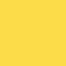 FONDALE CARTA BD DAF FO DIL 2,72x11m art. 07132 - Cavone Lux Pro