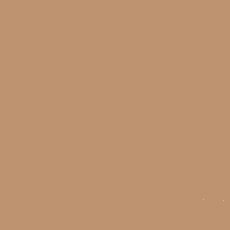 FONDALE IN CARTA BD LATTE 2,72x11m ART. 07176 - Cavone Lux Pro