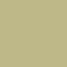 FONDALE CARTA BD PISTACHIO 2,72x11m ART. 07123 - Cavone Lux Pro