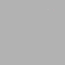 FONDALE FOTOGRAFICO CARTA BD PLAZA GRAY 2,72x11m art. 07109 - Cavone Lux Pro