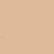 FONDALE CARTA BD PONGEE 2,72x11m art. 07117 - Cavone Lux Pro