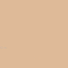 FONDALE CARTA BD PONGEE 2,72x11m art. 07117 - Cavone Lux Pro
