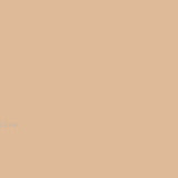 FONDALE CARTA BD PONGEE 2,72x11m art. 07117 - Cavone Lux Pro