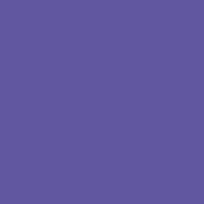 FONDALE CARTA BD PURPLE 2,72x11m art. 07137 - Cavone Lux Pro