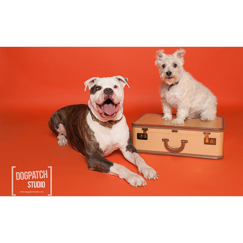 FONDALE CARTA BD TANGERINE 2,72x11m art. 07152 - Cavone Lux Pro