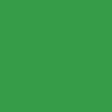 FONDALE CARTA BD VERY GREEN 2,72x11m art. 07135 - Cavone Lux Pro